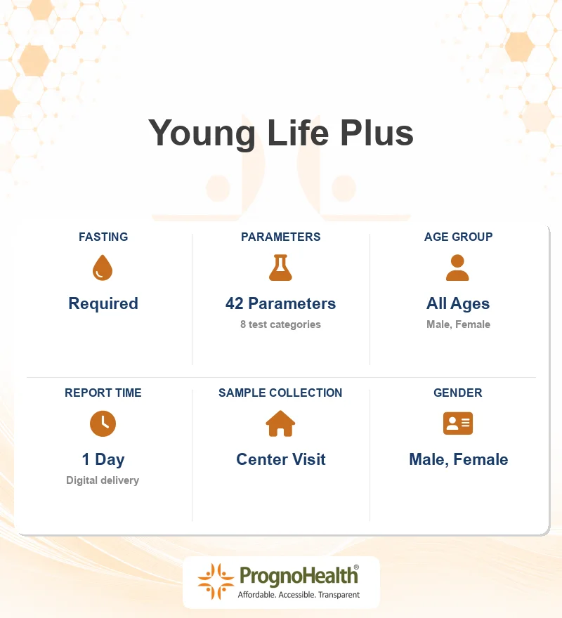 Young Life Plus
