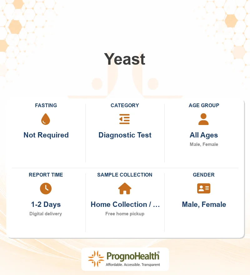 Yeast