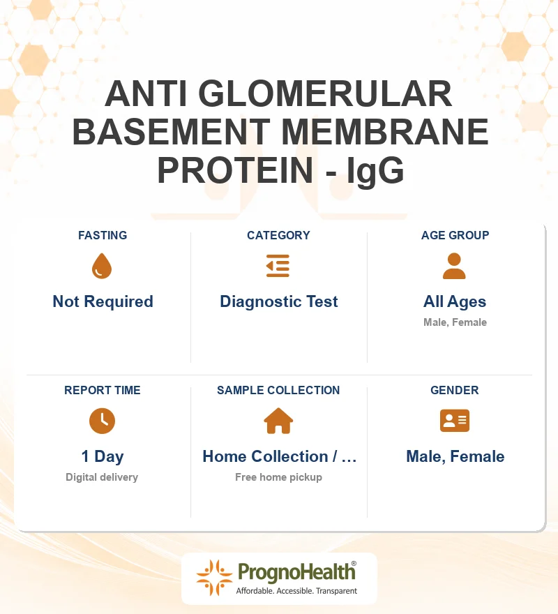 ANTI GLOMERULAR BASEMENT MEMBRANE PROTEIN - IgG