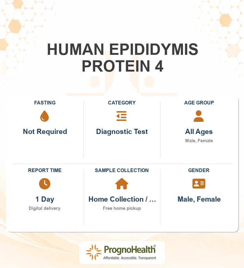 HUMAN EPIDIDYMIS PROTEIN 4